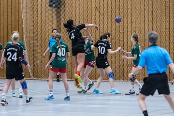 Bild 102 - Damen HSG Kremperheide/M�nsterdorf - Suchsdorfer SV : Ergebnis: 39:22